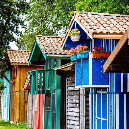 Au Coeur Du Bassin D'Arcachon,Tres Bel Appartement Avec Terrasse 오덴쥐 외부 사진