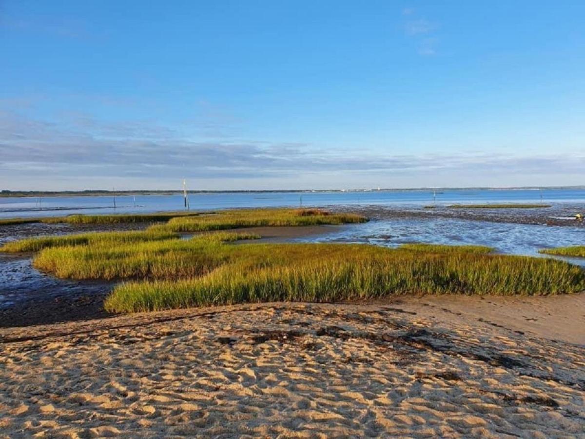Au Coeur Du Bassin D'Arcachon,Tres Bel Appartement Avec Terrasse 오덴쥐 외부 사진
