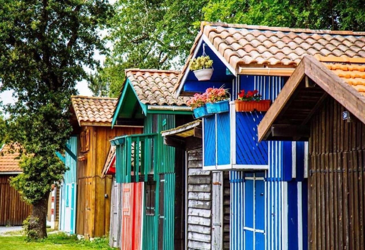 Au Coeur Du Bassin D'Arcachon,Tres Bel Appartement Avec Terrasse 오덴쥐 외부 사진