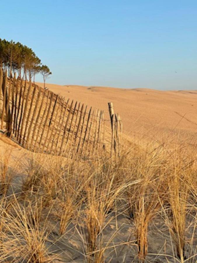 Au Coeur Du Bassin D'Arcachon,Tres Bel Appartement Avec Terrasse 오덴쥐 외부 사진