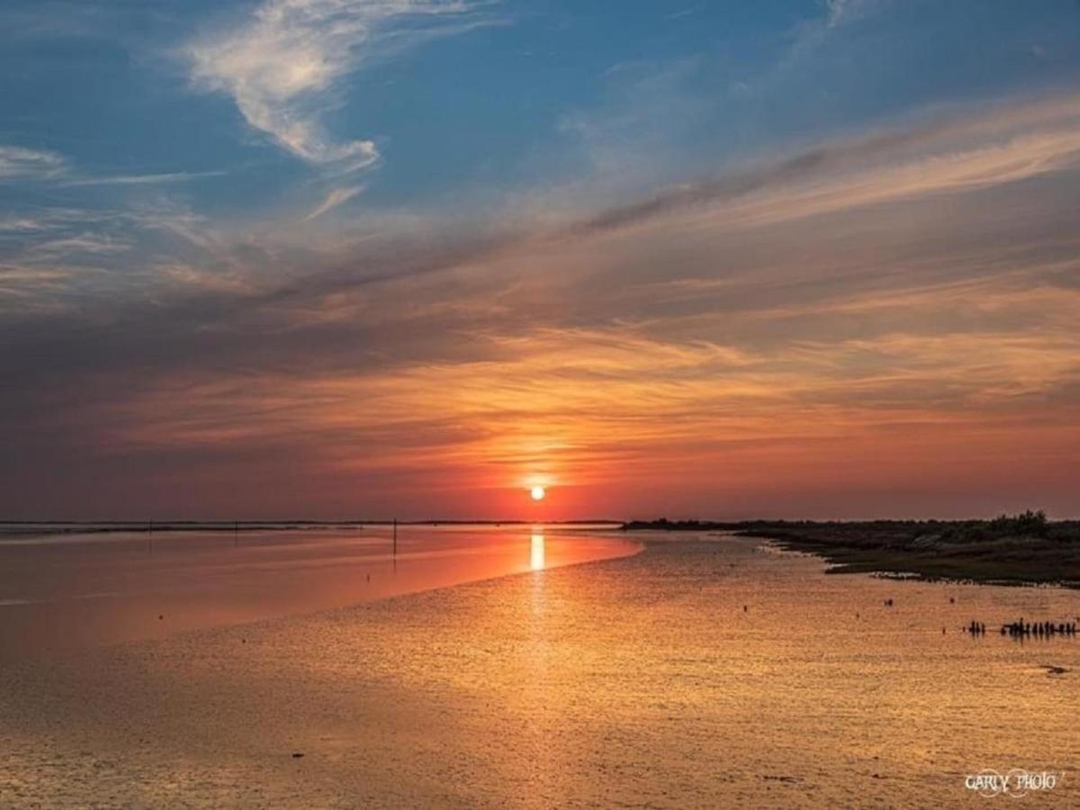 Au Coeur Du Bassin D'Arcachon,Tres Bel Appartement Avec Terrasse 오덴쥐 외부 사진