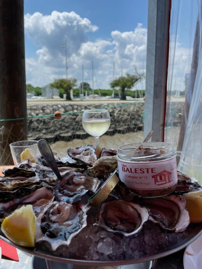 Au Coeur Du Bassin D'Arcachon,Tres Bel Appartement Avec Terrasse 오덴쥐 외부 사진