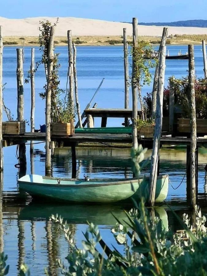 Au Coeur Du Bassin D'Arcachon,Tres Bel Appartement Avec Terrasse 오덴쥐 외부 사진