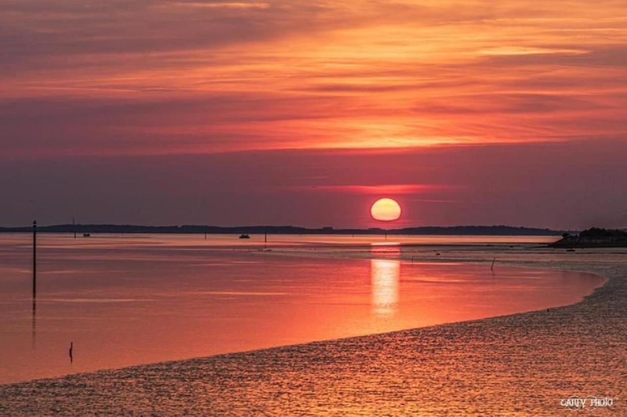 Au Coeur Du Bassin D'Arcachon,Tres Bel Appartement Avec Terrasse 오덴쥐 외부 사진