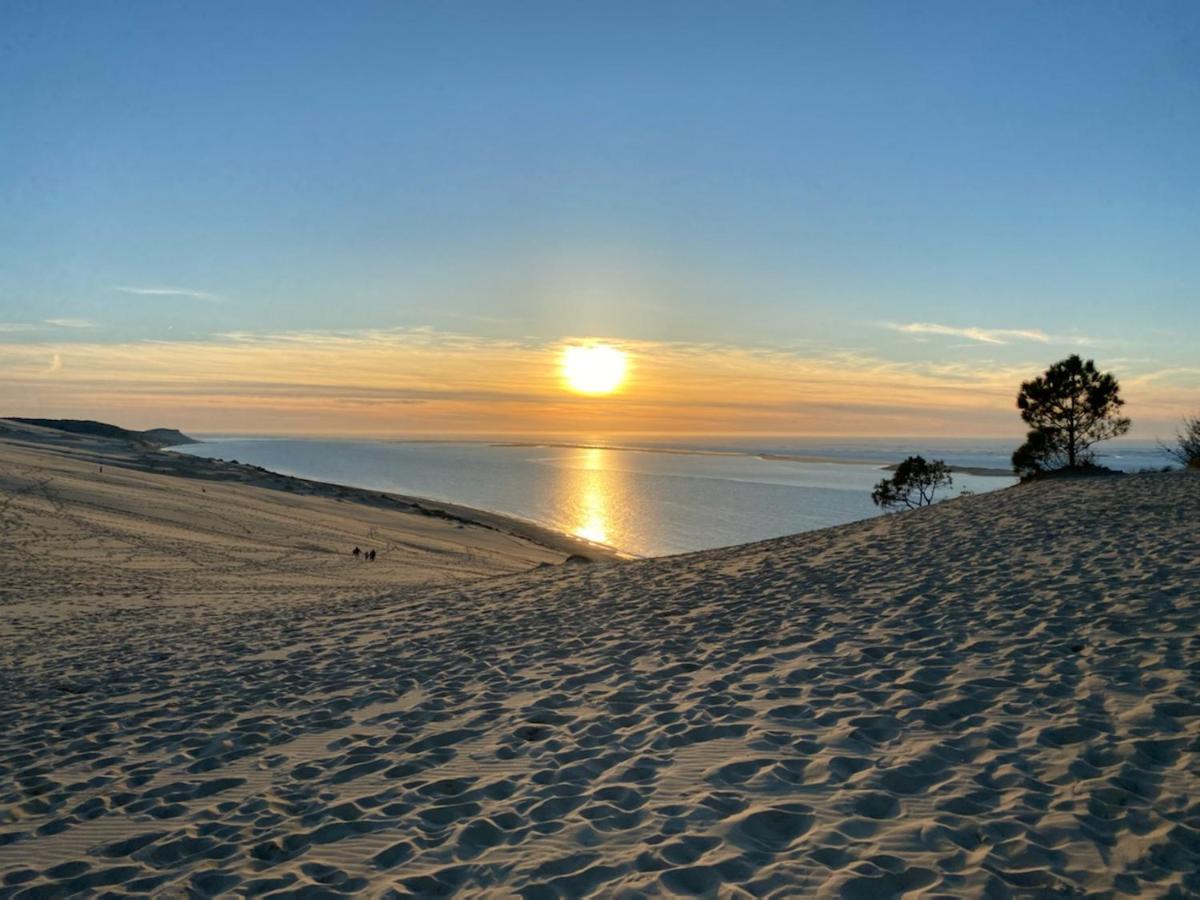 Au Coeur Du Bassin D'Arcachon,Tres Bel Appartement Avec Terrasse 오덴쥐 외부 사진